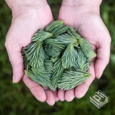 Tailwind CSS Grid自动布局技巧与最佳实践...