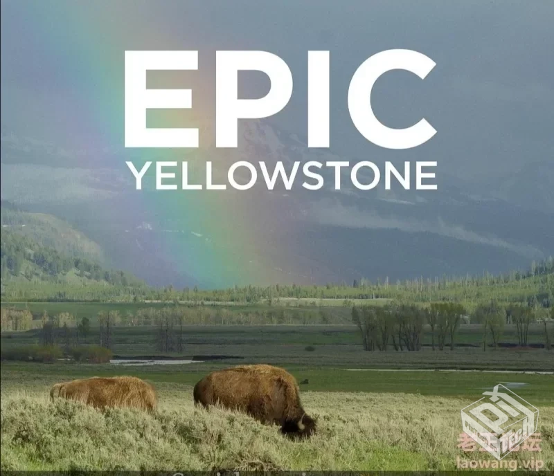 【转载搬运】 黄石公园纪录片 【视频,纪录...