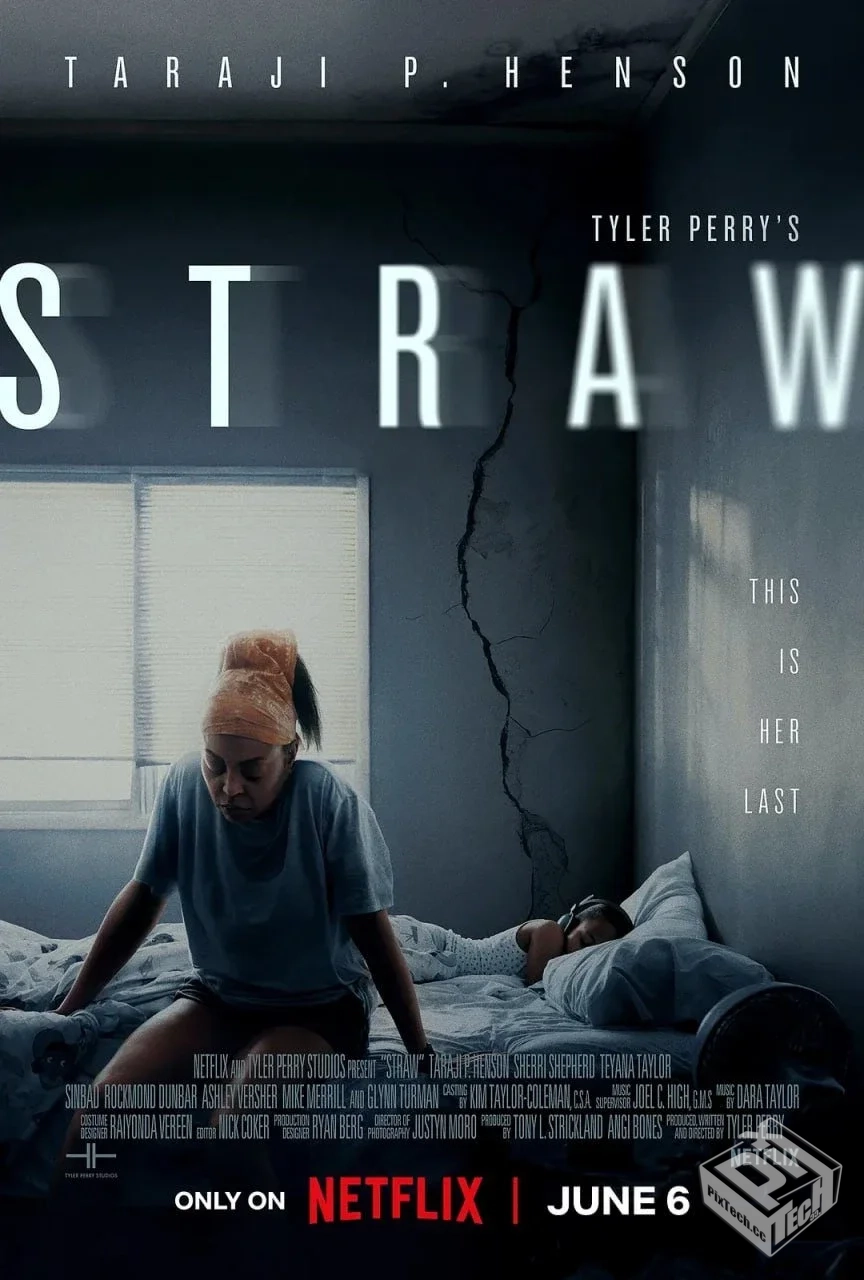 救命稻草 Straw 【2025】 美影 官方简中硬...