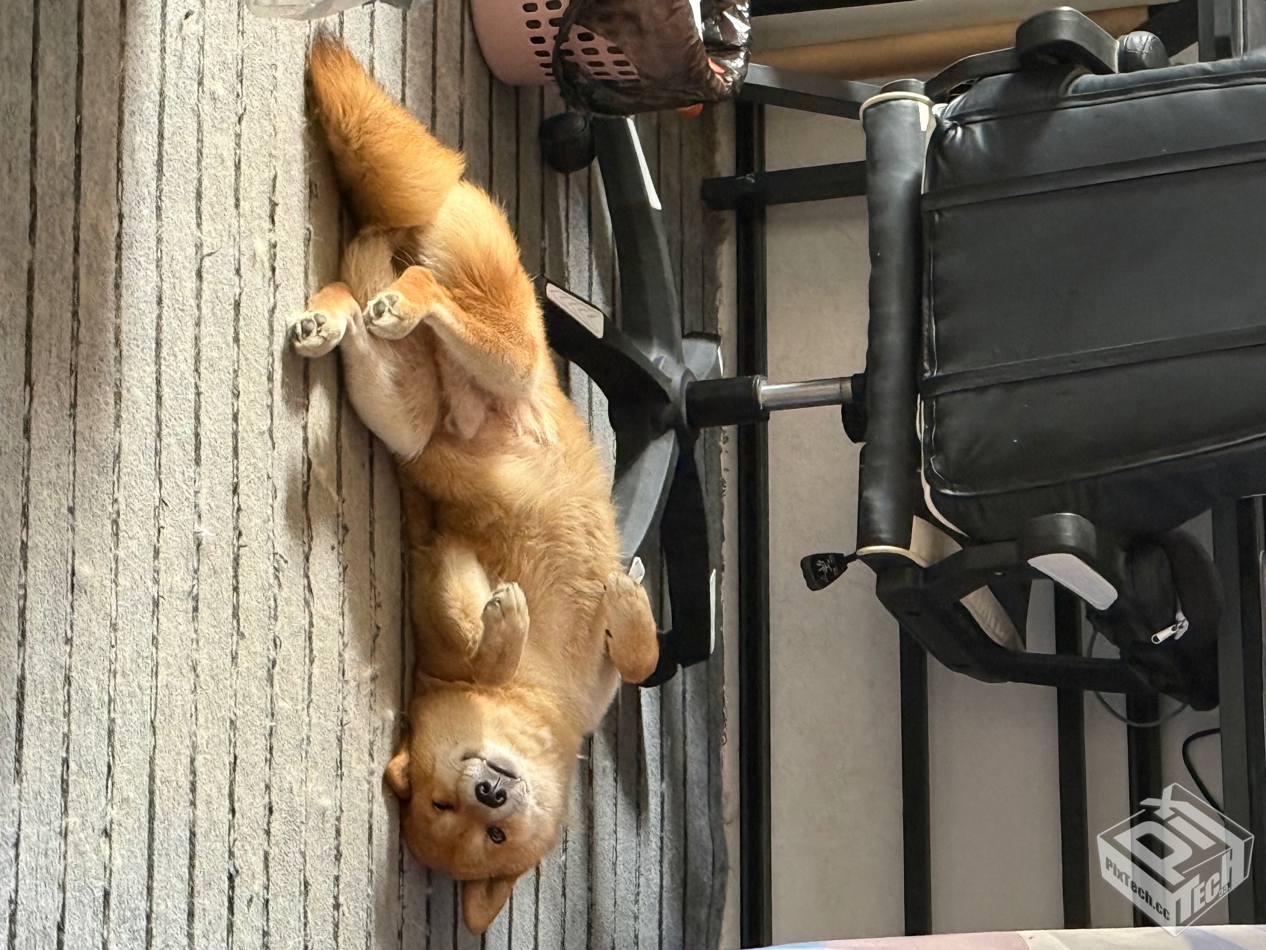 这是在。。